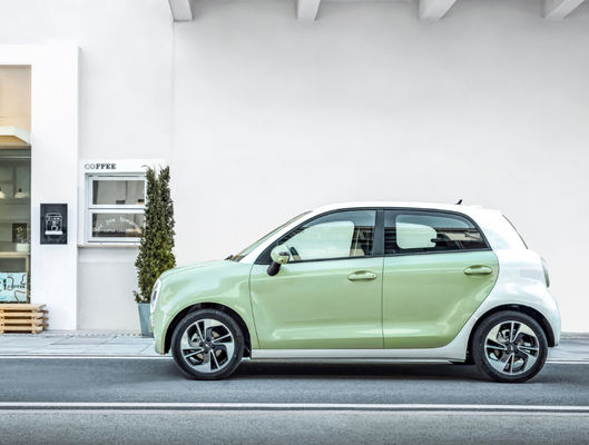 Il nero Cat Ev Battery LFP della grande muraglia ORA del motore EV della grande muraglia di 301-405KM