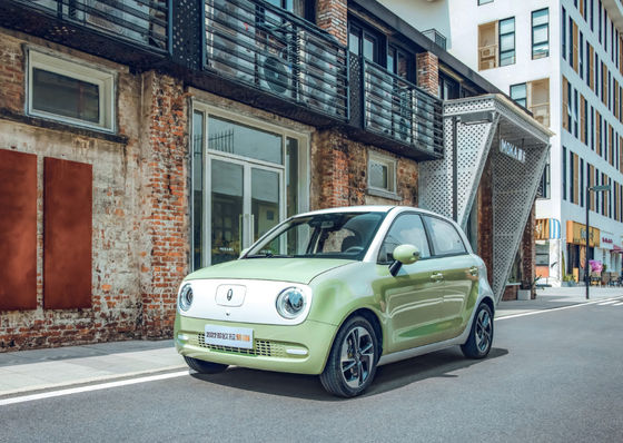 Il nero Cat Ev Battery LFP della grande muraglia ORA del motore EV della grande muraglia di 301-405KM