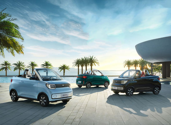 Singole porte convertibili del motore 2 di Wuling Hongguang EV 280KM 2 sedili