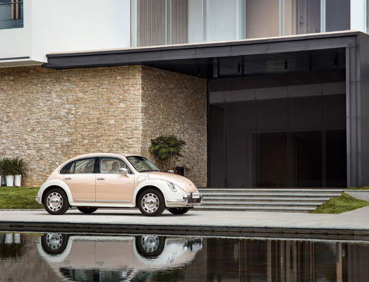 Balletto Cat Car del motore EV ORA della grande muraglia di 401-500KM 5 porte 5 sedili