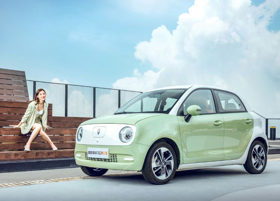 Batteria LFP dei sedili delle porte 4 di Cat Electric Vehicle 5 del nero di 301KM-405KM Gw ORA