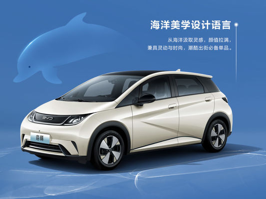 Mini Byd Dolphin Ev elettrico puro 301-405KM 5 porte 5 sedili