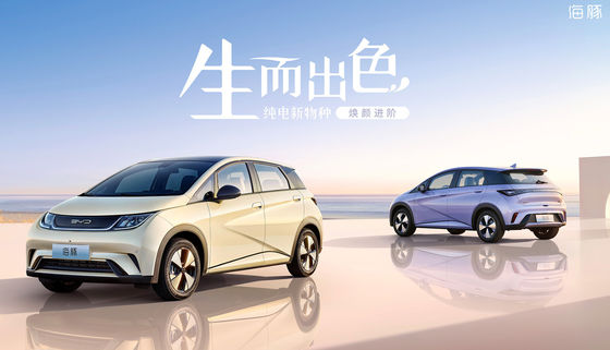 Mini Byd Dolphin Ev elettrico puro 301-405KM 5 porte 5 sedili